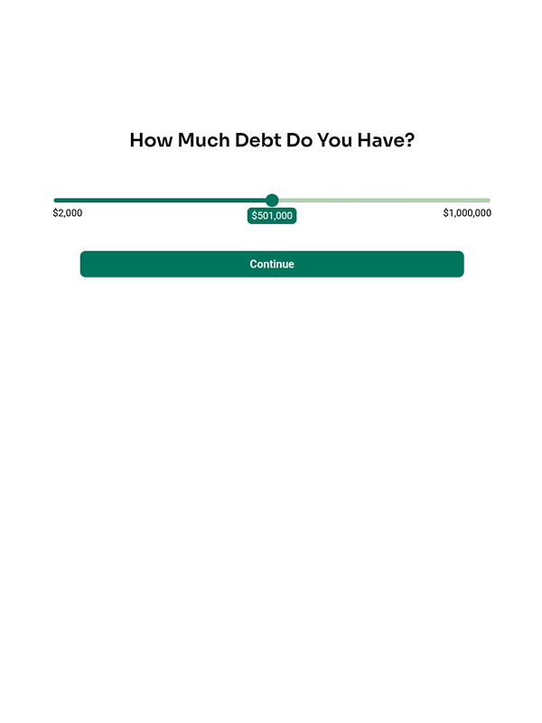 Debt Relief Assessment